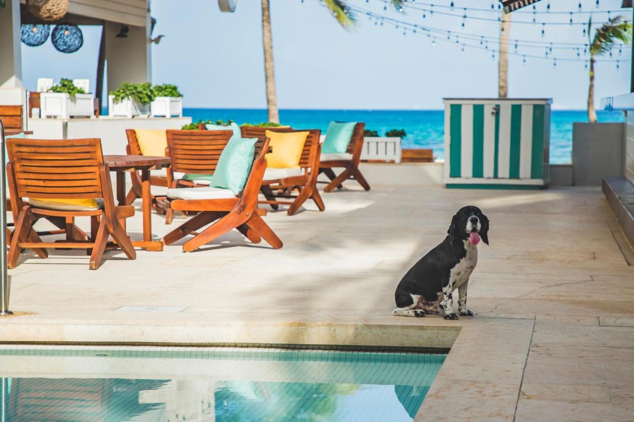 Thompson Playa Del Carmen Beach House, By Hyatt Esterno foto