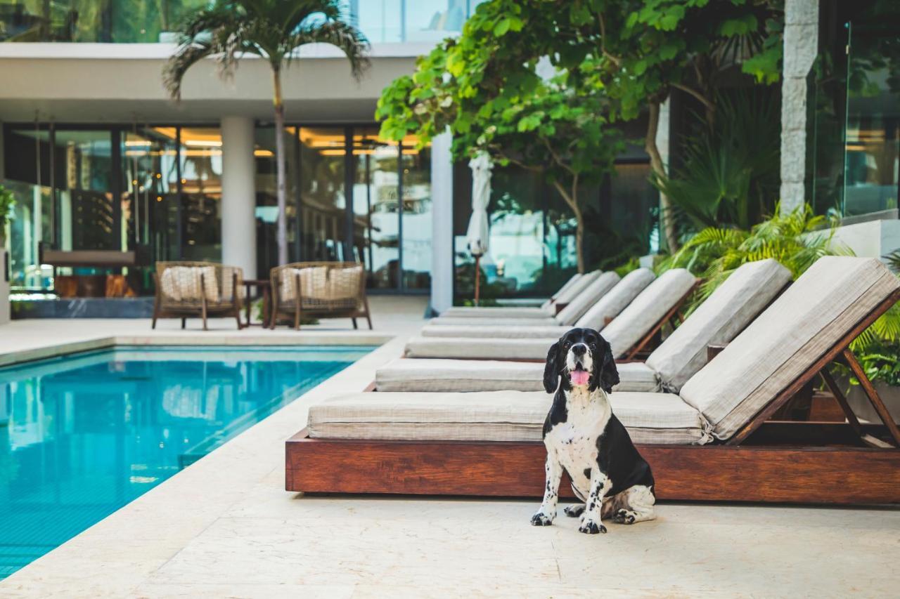 Thompson Playa Del Carmen Beach House, By Hyatt Esterno foto